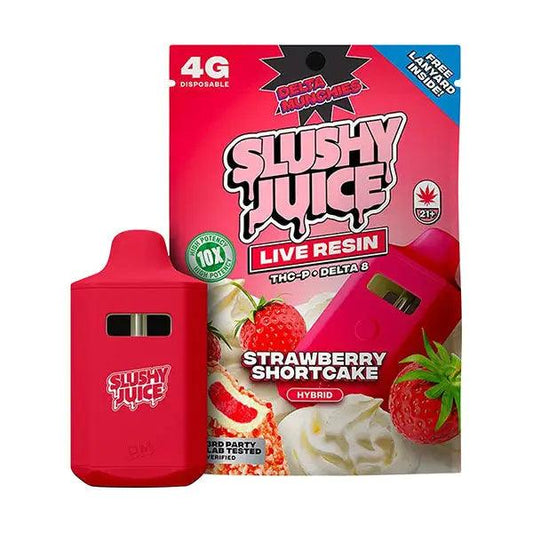 Delta Munchies Slushy Juice Disposable Vape | 4g -