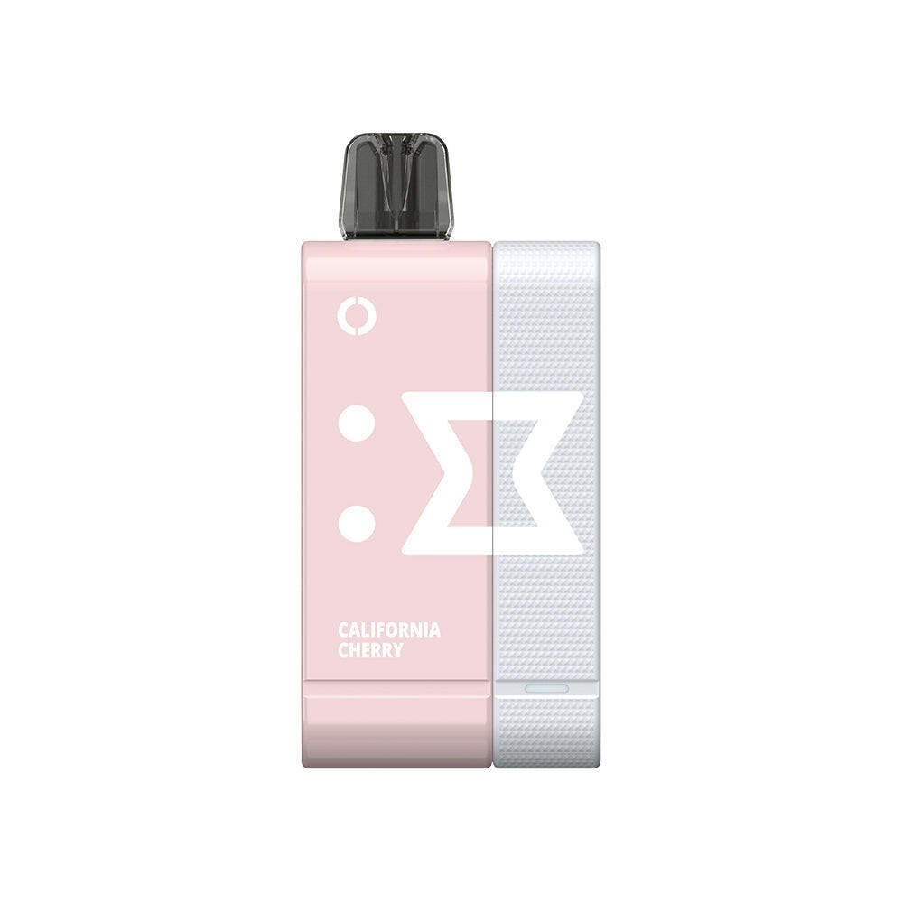 Off-Stamp SW9000 Disposable Kit Rechargeable Battery Replaceable – 9000 Puffs.