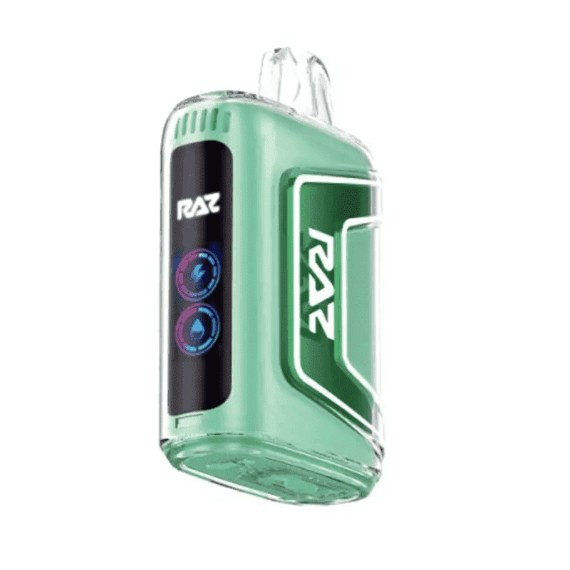 RAZ Vape TN9000 Disposable - Miami Mint - Disposable